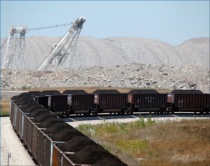 Bear-Run-Train_resized2.jpg