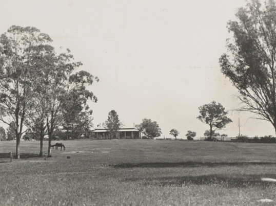 View looking north to Wambo Homestead on 1st December 1906