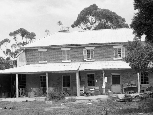 Kitchen Wing on 28th November 1981 